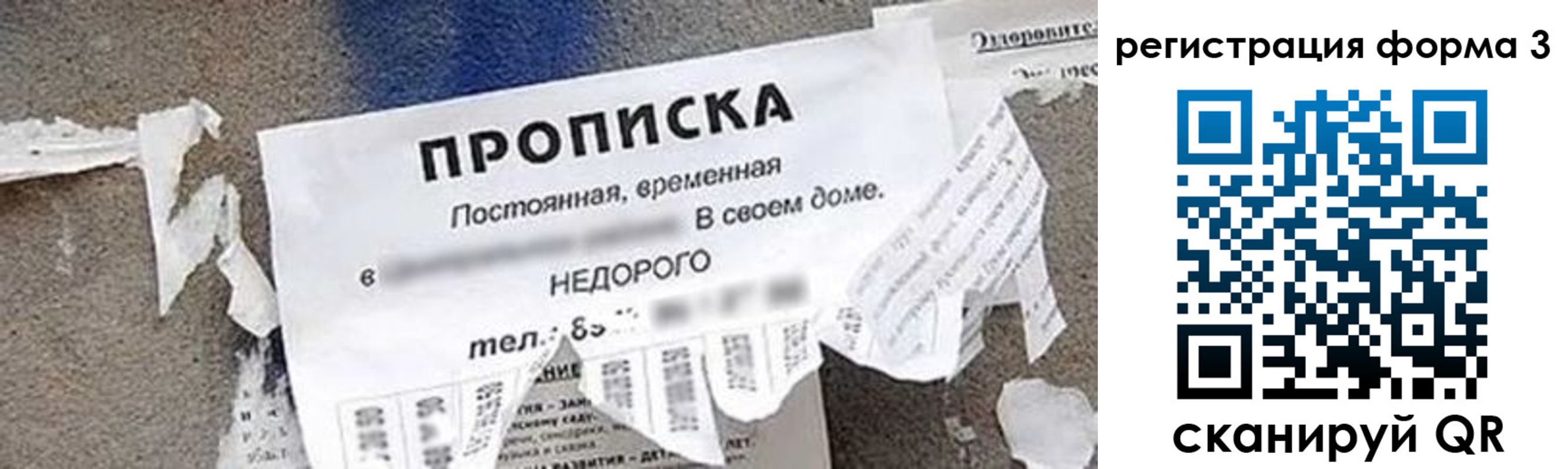 прописка 2025 в Клинцах